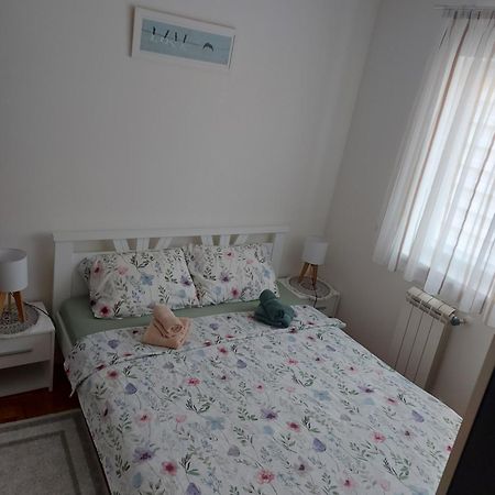 Stancicmilena Daire Požarevac Dış mekan fotoğraf